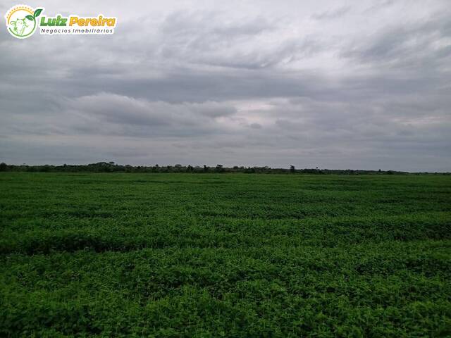 #2633 - Fazenda para Venda em Bela Vista - MS