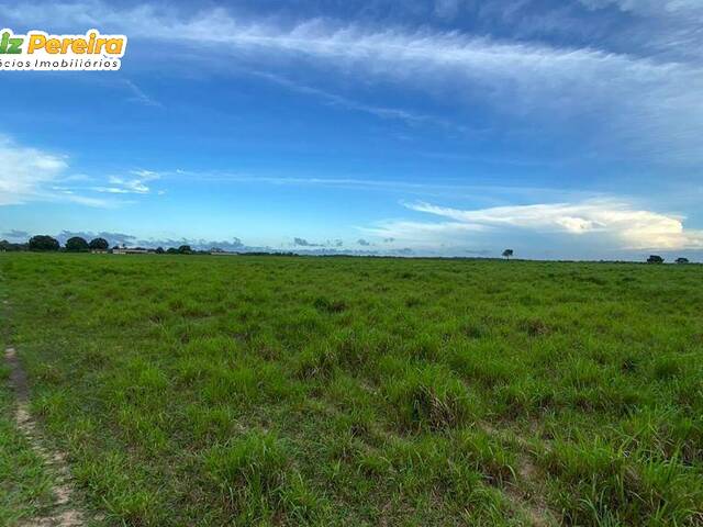 #2634 - Fazenda para Venda em Santa Maria do Pará - PA - 2