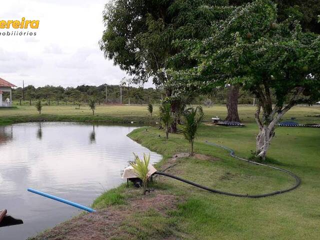Fazenda para Venda em Santa Maria do Pará - 4