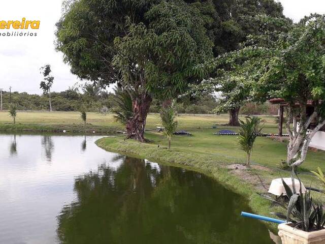 #2634 - Fazenda para Venda em Santa Maria do Pará - PA - 1