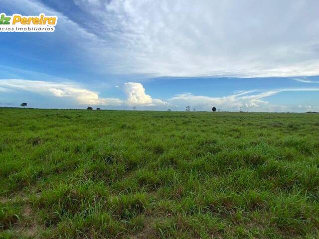 #2634 - Fazenda para Venda em Santa Maria do Pará - PA - 3