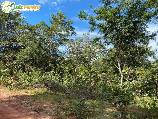 Fazenda para Venda em São Francisco do Maranhão - 5