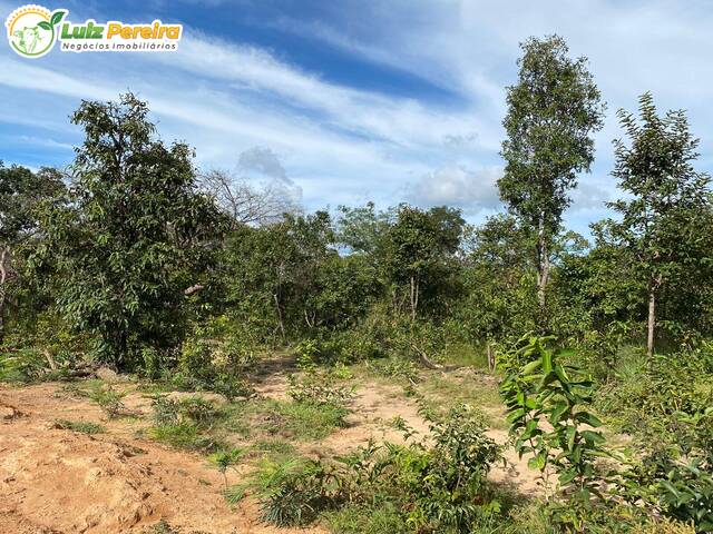 #2635 - Fazenda para Venda em São Francisco do Maranhão - MA - 1