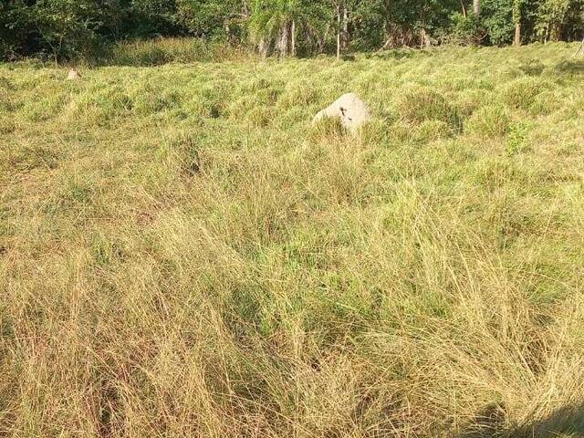Fazenda para Venda em Santa Rita do Tocantins - 5