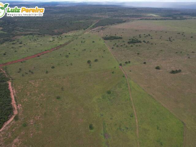 Fazenda para Venda em Itiquira - 5