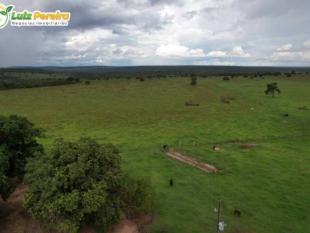 Fazenda para Venda em Itiquira - 4