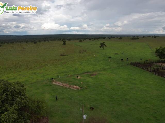 #2637 - Fazenda para Venda em Itiquira - MT - 3