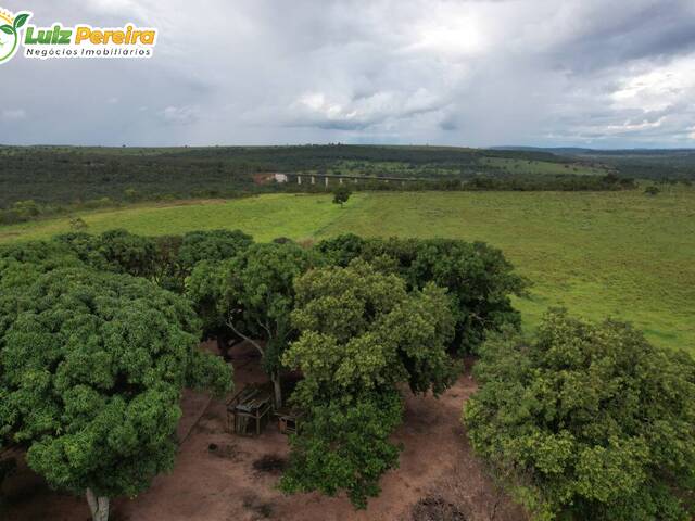 #2637 - Fazenda para Venda em Itiquira - MT