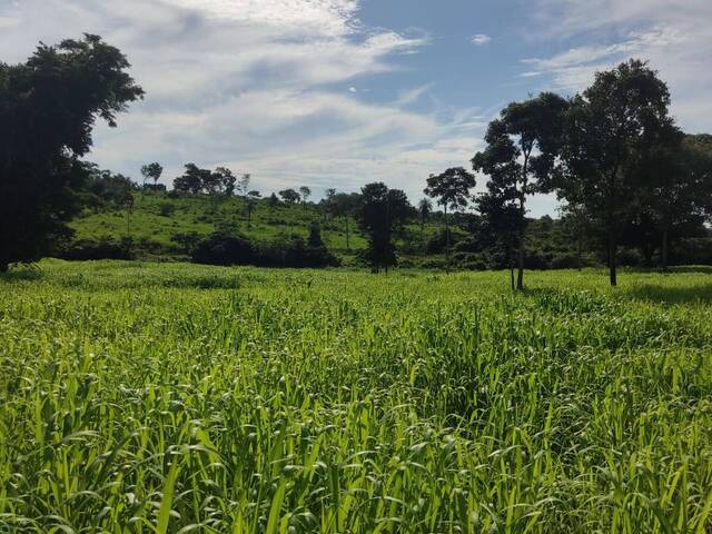 #2640 - Fazenda para Venda em Rio Negro - MS - 1