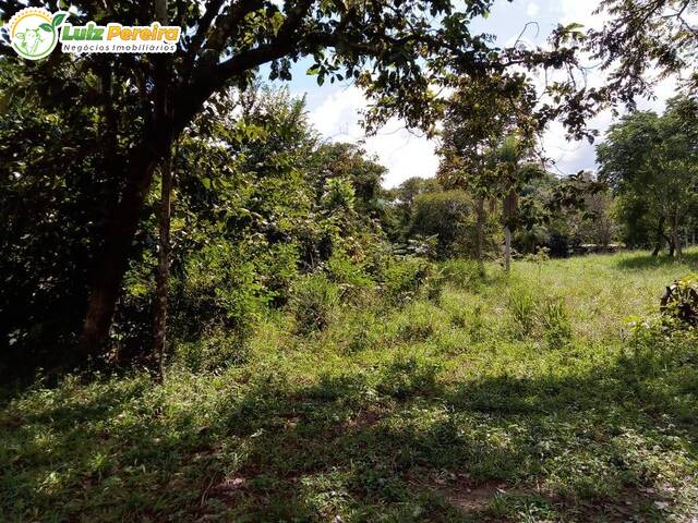 Fazenda para Venda em Rio Negro - 5