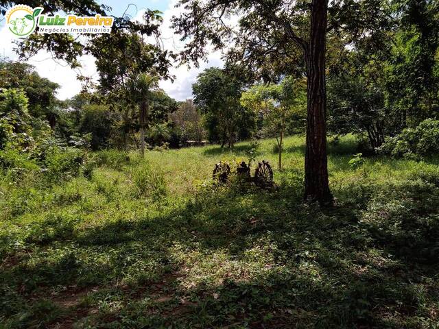 Fazenda para Venda em Rio Negro - 4