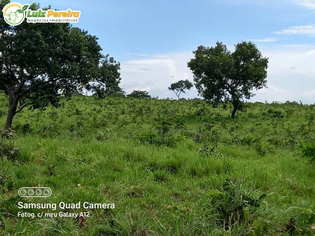 Fazenda para Venda em Grajaú - 5