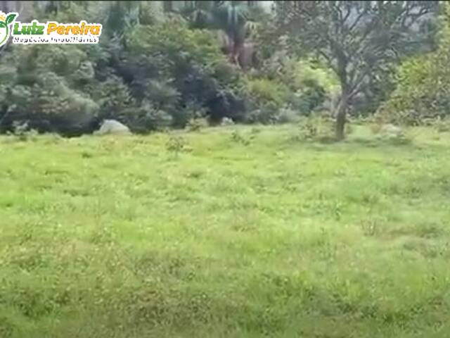 Fazenda para Venda em Grajaú - 4