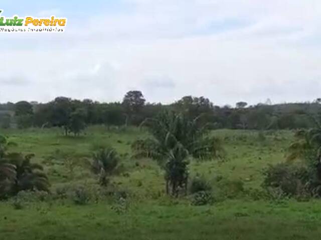 #2641 - Fazenda para Venda em Grajaú - MA - 1