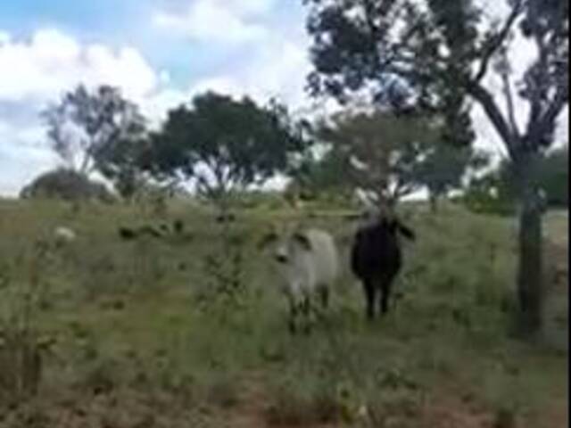 #2641 - Fazenda para Venda em Grajaú - MA - 2