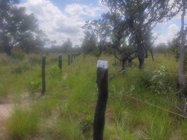 Fazenda para Venda em Lizarda - 5