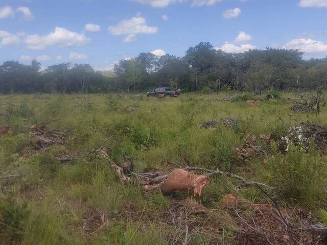 #2642 - Fazenda para Venda em Lizarda - TO - 3