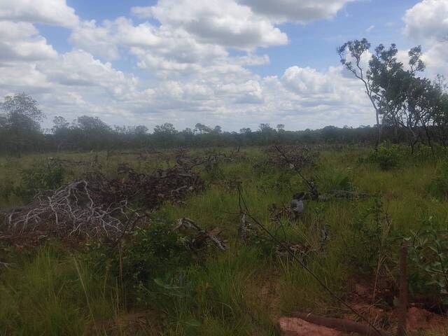 Fazenda para Venda em Lizarda - 4