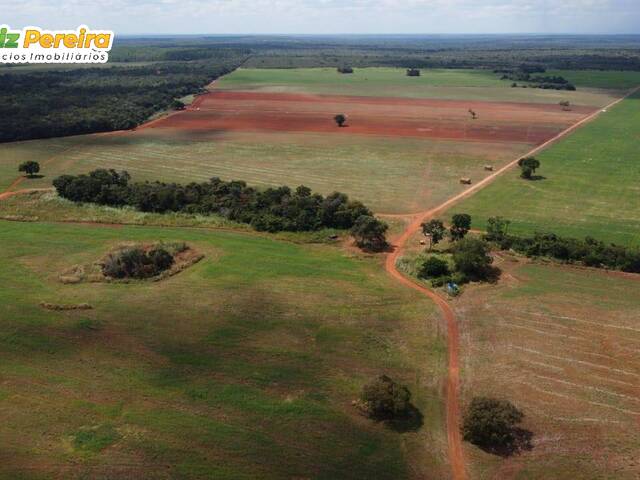 #2434 - Fazenda para Venda em Abreulândia - TO - 3