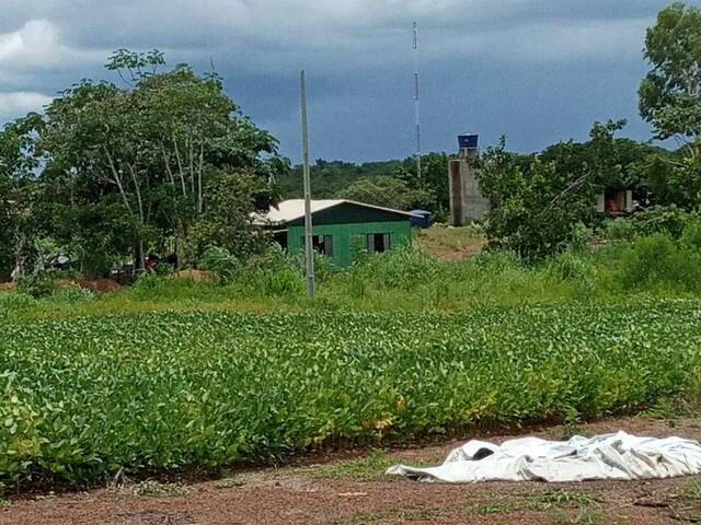 #2643 - Fazenda para Venda em Santa Maria das Barreiras - PA - 2