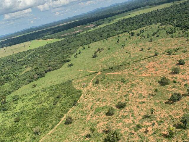 Venda em Zona Rural - Santa Maria das Barreiras