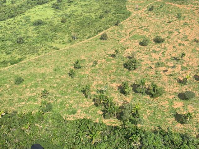 #2645 - Fazenda para Venda em Santa Maria das Barreiras - PA - 2