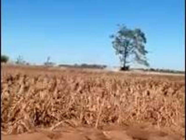 #2645 - Fazenda para Venda em Santa Maria das Barreiras - PA - 3