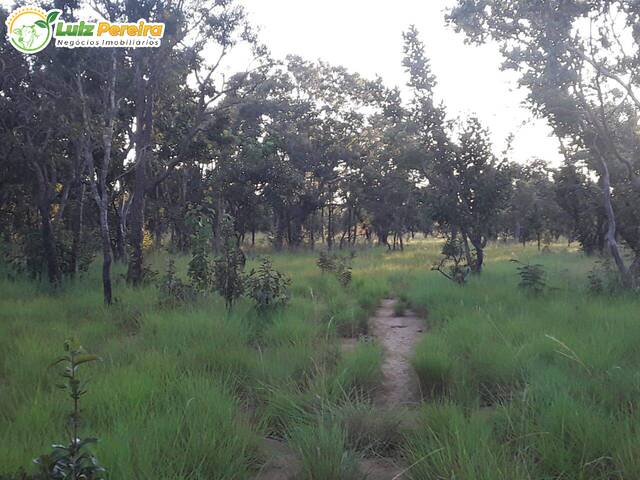 #2563 - Fazenda para Venda em São Valério da Natividade - TO - 3