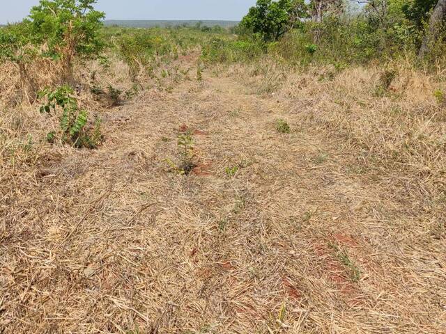Fazenda para Venda em Balsas - 4