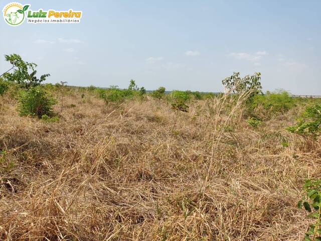 #2648 - Fazenda para Venda em Balsas - MA - 2