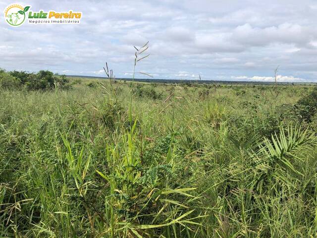 #2648 - Fazenda para Venda em Balsas - MA - 1