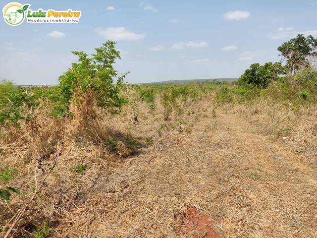 #2648 - Fazenda para Venda em Balsas - MA - 3