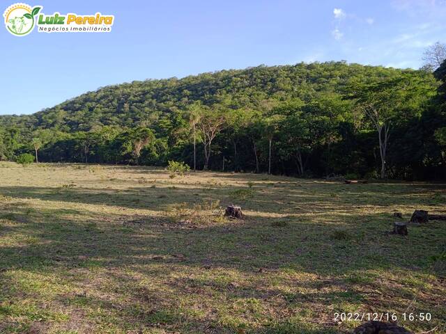 Fazenda para Venda em Nioaque - 4