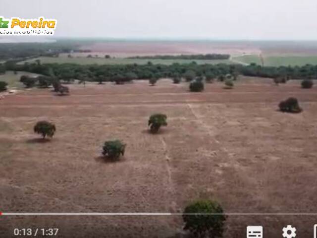 #2650 - Chácara para Venda em Santana do Araguaia - PA - 3