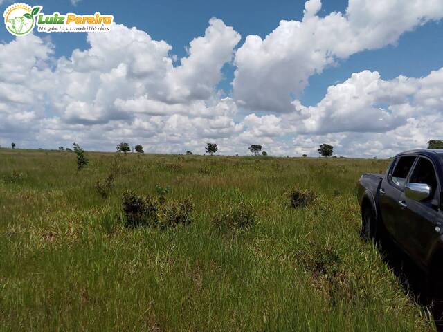Fazenda para Venda em Campo Grande - 5