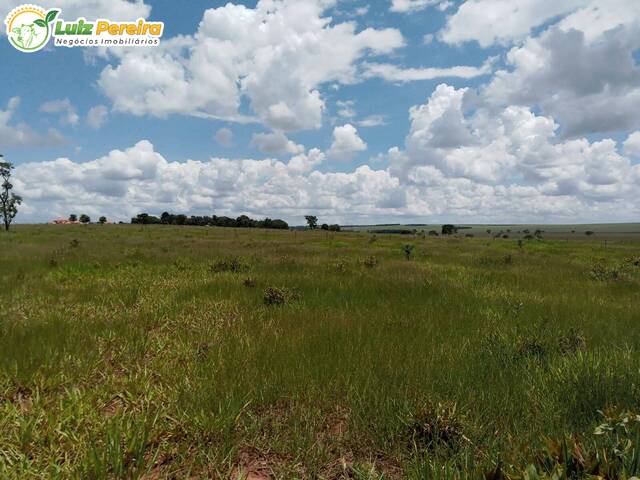 Fazenda para Venda em Campo Grande - 4