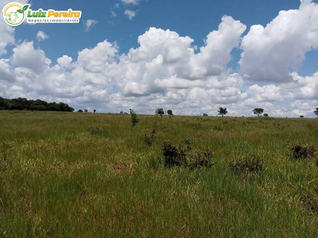 #2652 - Fazenda para Venda em Campo Grande - MS - 3