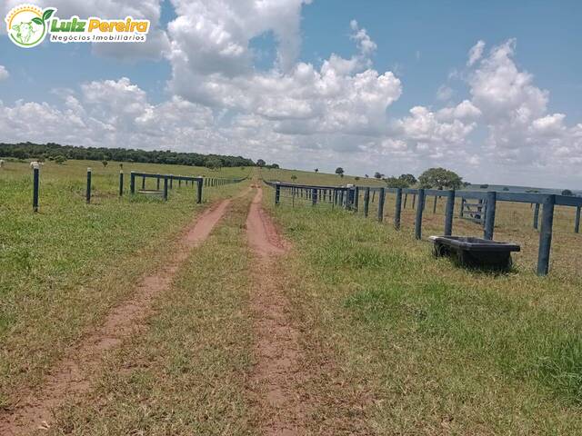 #2652 - Fazenda para Venda em Campo Grande - MS - 2