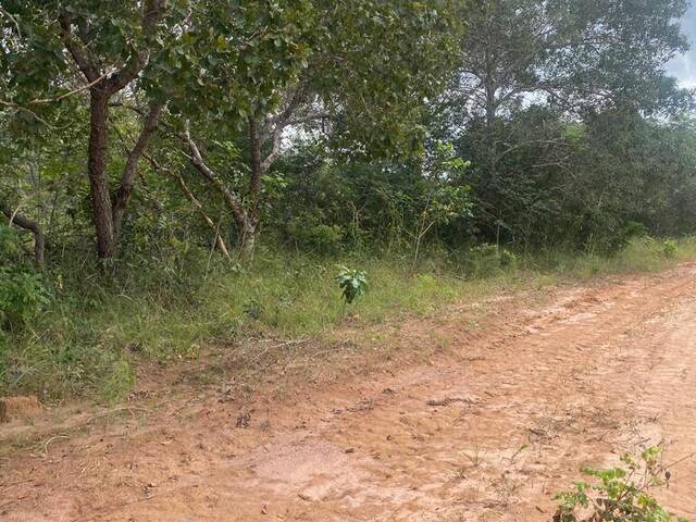 Fazenda para Venda em Balsas - 4