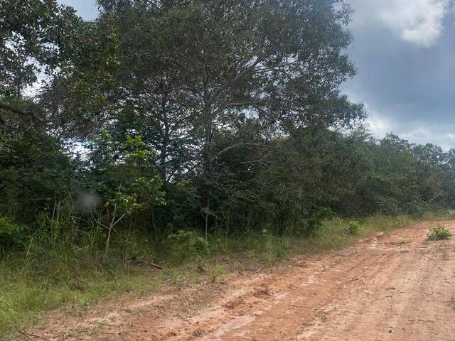 #2653 - Fazenda para Venda em Balsas - MA - 1