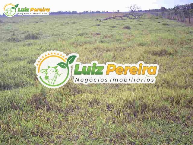 #2655 - Fazenda para Venda em Rio Verde de Mato Grosso - MS - 3
