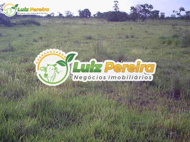 Fazenda para Venda em Rio Verde de Mato Grosso - 5