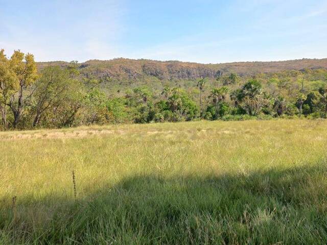 Fazenda para Venda em Novo Acordo - 4