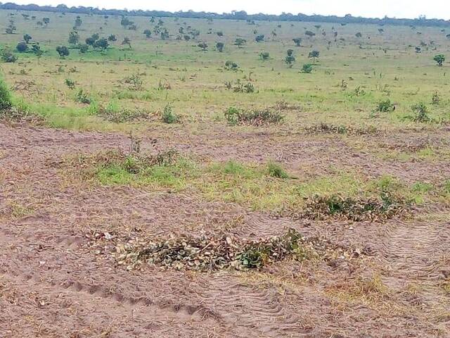 #2657 - Chácara para Venda em Santa Quitéria do Maranhão - MA - 2