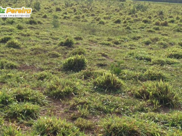 Fazenda para Venda em Guaraí - 5