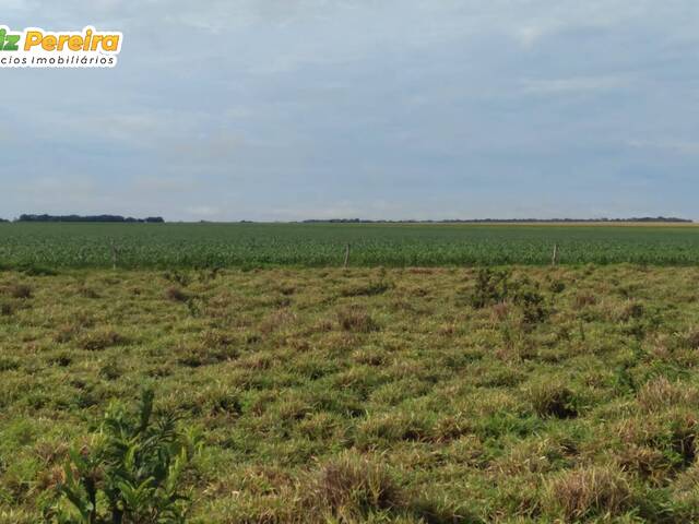 #2658 - Fazenda para Venda em Guaraí - TO - 2