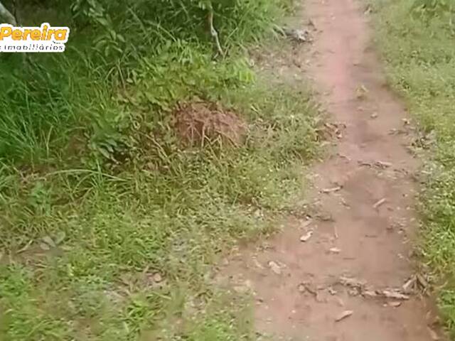 Fazenda para Venda em Peixe - 4