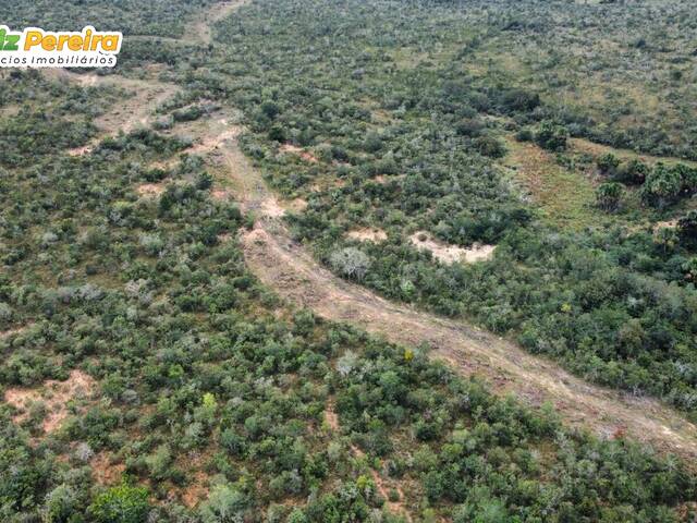 #2660 - Fazenda para Venda em Itiquira - MT - 1