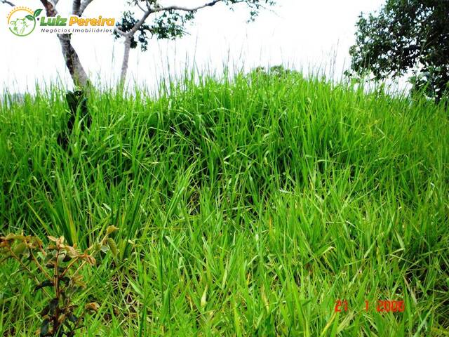 Fazenda para Venda em Itiquira - 4