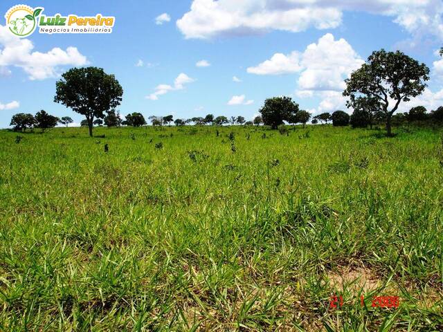 #2660 - Fazenda para Venda em Itiquira - MT - 3